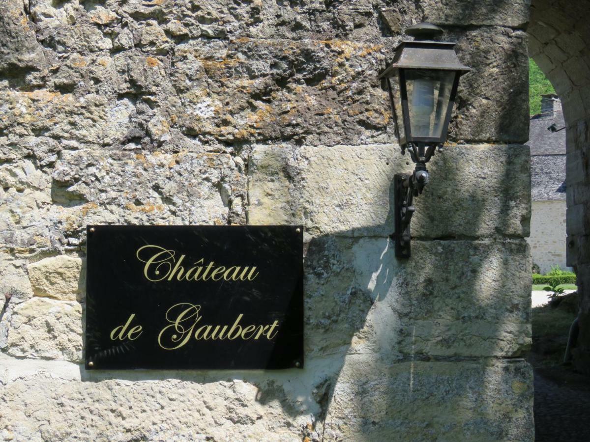 Terrasson Chateau De Gaubert Bed & Breakfast エクステリア 写真